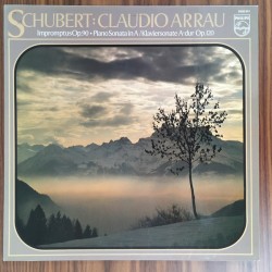Schubert-Impromtus...