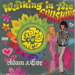 Adam & Eve ‎– Walking In...