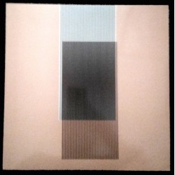 Hot Chip ‎– Why Make Sense?|2015  WIGLP313 &8211First pressing every sleeve unique