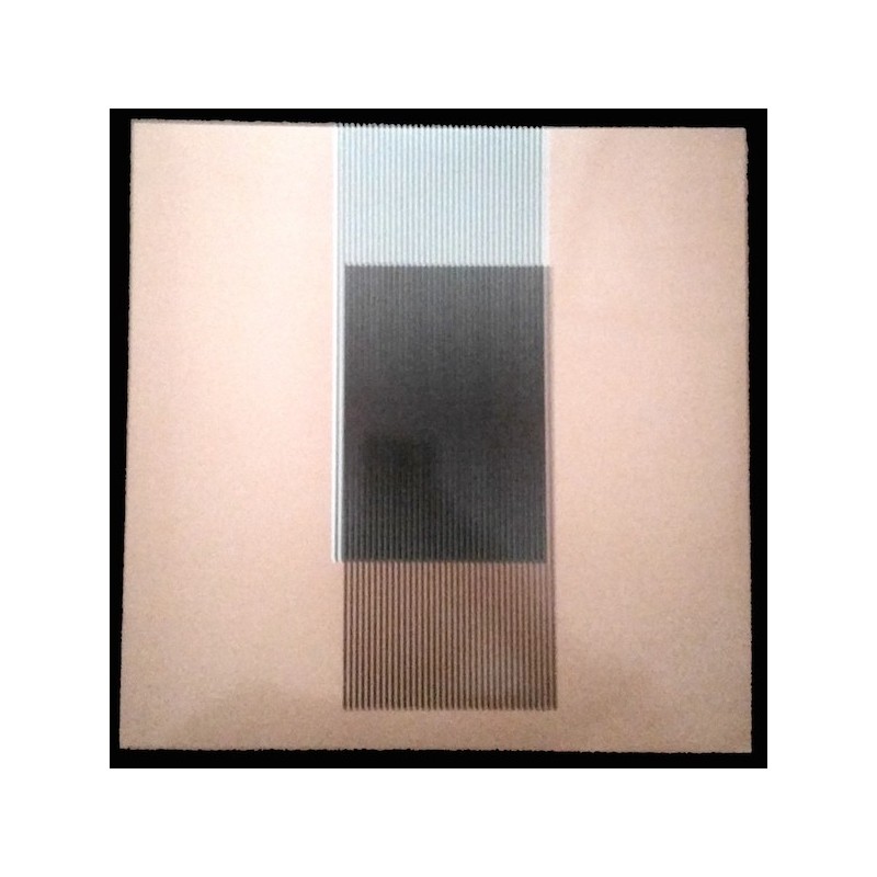 Hot Chip – Why Make Sense?|2015 WIGLP313 &8211First pressing every sleeve unique Hot Chip – Why Make Sense?|2015 WIGLP313 &8211First pressing every sleeve unique