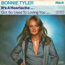 Tyler ‎Bonnie – It's A...