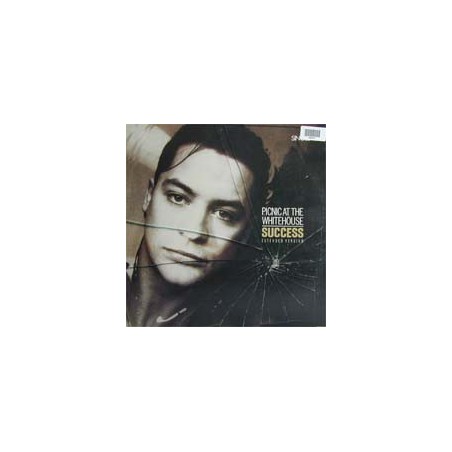 Picnic At The Whitehouse ‎– Success|1987    PRT 650491 6-Maxi-Single