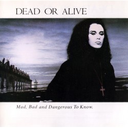 Dead Or Alive ‎– Mad, Bad,...