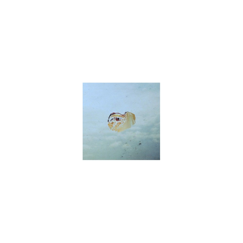 Karma Art-Zebra|2015 X1780051-6 Karma Art-Zebra|2015 X1780051-6