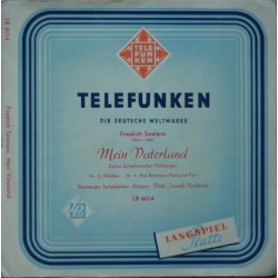 Smetana-Mein Vaterland...