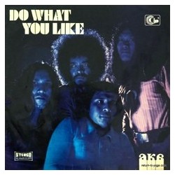 AKA – Do What You Like|1970/2014    Indra ‎– AKL-018