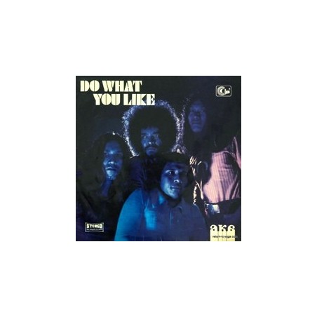 AKA – Do What You Like|1970/2014    Indra ‎– AKL-018