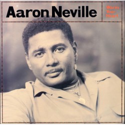 Neville Aaron ‎– Warm Your...