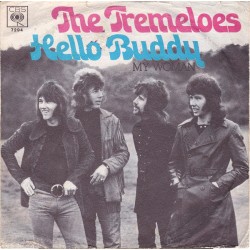 Tremeloes ‎The – Hello...