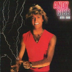 Gibb ‎Andy – After...