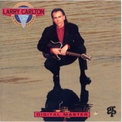 Carlton ‎Larry – On Solid Ground|1989     256 310-1	Germany