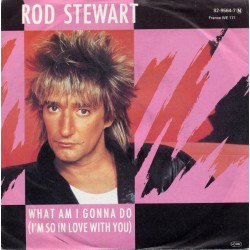 Stewart ‎Rod – What Am I...