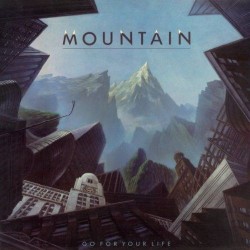 Mountain ‎– Go For Your...