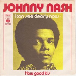 Nash Johnny ‎– I Can See...
