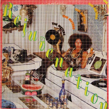 Meters The ‎– Rejuvenation|1974   Reprise Records ‎– MS 2200