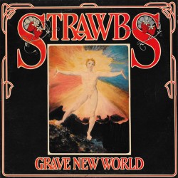 Strawbs ‎– Grave New...