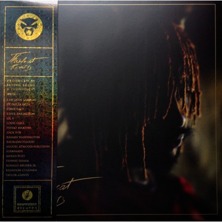 Thundercat ‎– It Is What It Is|2020    Brainfeeder ‎– BF100-red Vinyl