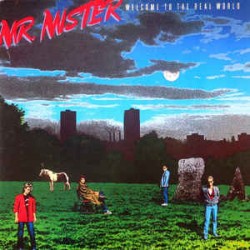 Mr. Mister ‎– Welcome To...