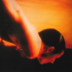 Porcupine Tree ‎– On The...