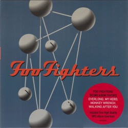 Foo Fighters ‎– The Colour...