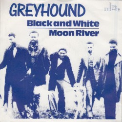 Greyhound- Black And White...