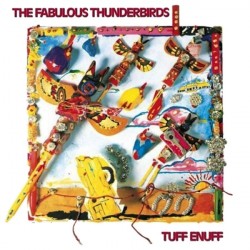 Fabulous Thunderbirds The...