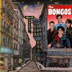 Bongos The ‎– Beat Hotel|1985   RCA PL 88043