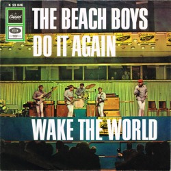 Beach Boys The ‎– Do It...