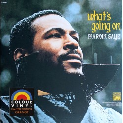 Gaye Marvin ‎– What's Going...