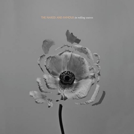 Naked The And Famous ‎– In Rolling Waves 2013  Fiction Records ‎– 3749572