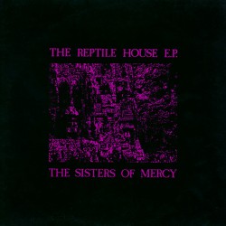 Sisters Of Mercy ‎– The...