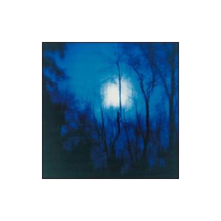 Flying Saucer Attack ‎– Further|1995    Domino ‎– WIGLP20