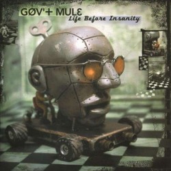 Gov't Mule ‎– Life Before...