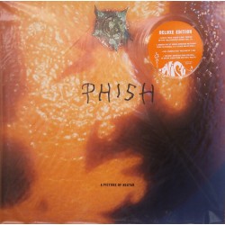 Phish ‎– A Picture Of...