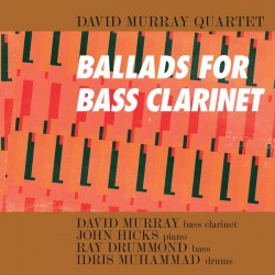 Murray David  Quartet ‎–...