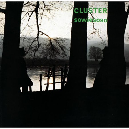 Cluster ‎– Sowiesoso|1976/2009     Bureau B ‎– BB039