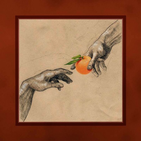 My Ugly Clementine ‎– Vitamin C|2020    Ink Music ‎– INK143LP