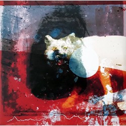 Mogwai ‎– As The Love...