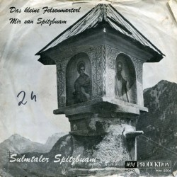 Sulmtaler Spitzbuam ‎– Das...