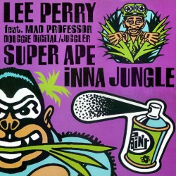 Lee Perry feat. Mad...