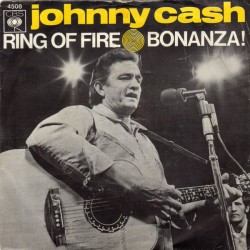Cash Johnny ‎– Ring Of Fire...