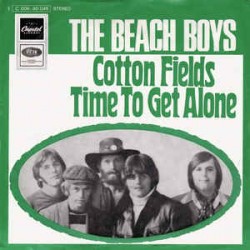 Beach Boys The ‎– Cotton...