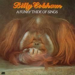 Cobham ‎Billy – A Funky...