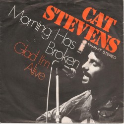 Cat Stevens ‎– Morning Has...