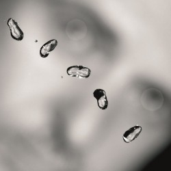 Gabriel ‎Peter – Up...