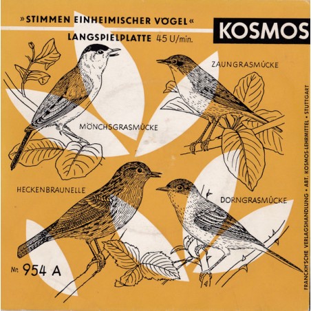 C. Fentzloff  ‎– Stimmen Einheimischer Vögel|Kosmos ‎– 954-Single