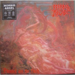 Morbid Angel – Blessed Are...