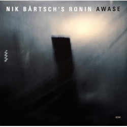 Nik Bärtsch's Ronin – Awase...