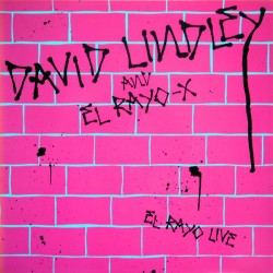 David Lindley And El Rayo-X...