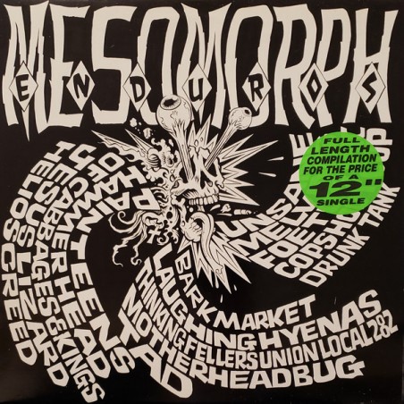 Various – Mesomorph Enduros|1992    Big Cat – ABB 36